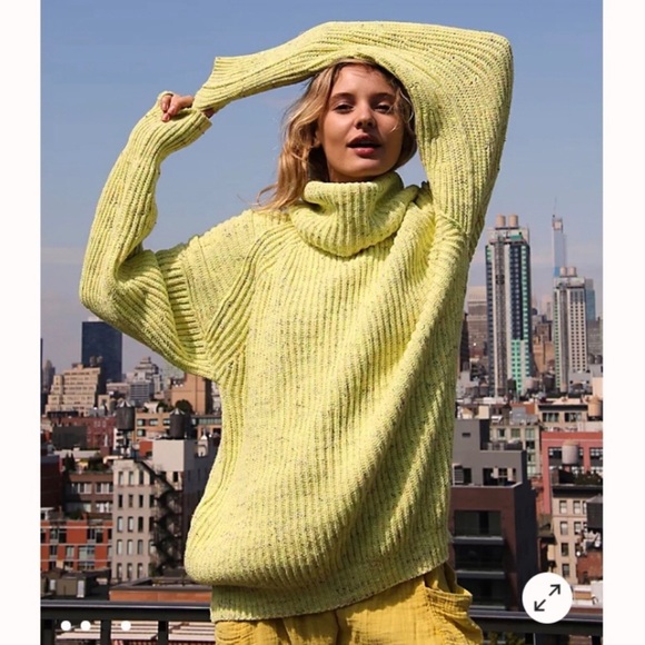 free people leo tunic sweater